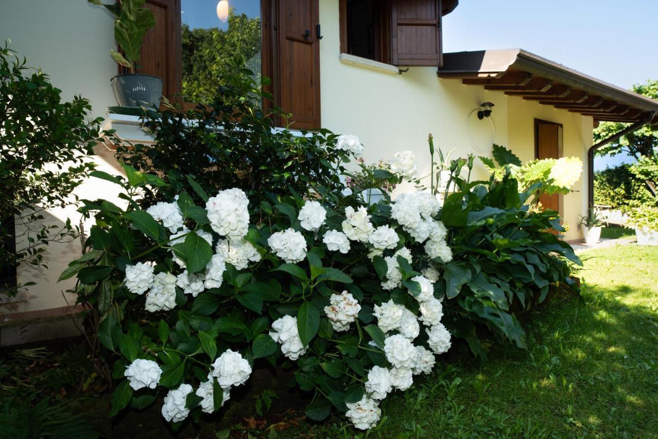 Alice Nel Paese Delle Meraviglie Gavardo Ngoại thất bức ảnh